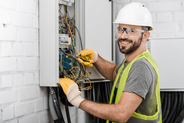 Best Electrical Rewiring Services  in Roscommon, MI