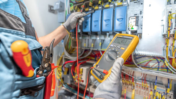Best Electric Panel Repair  in Roscommon, MI