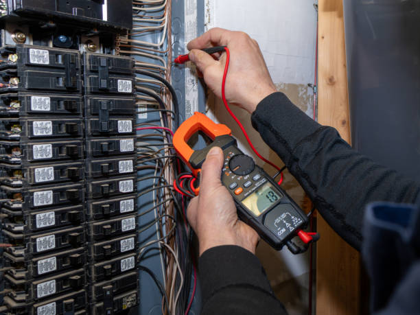Best Licensed Electrician  in Roscommon, MI